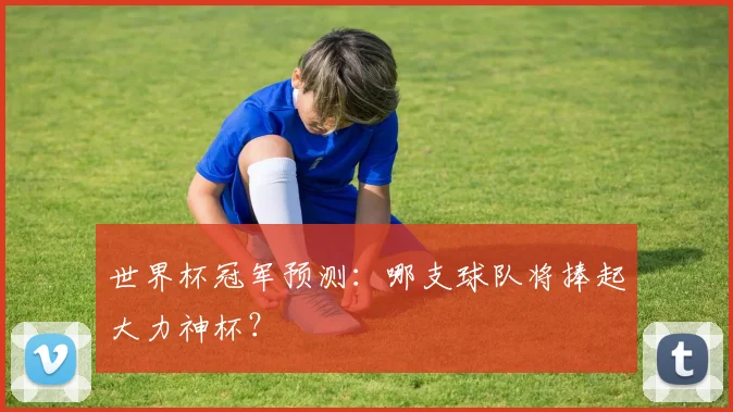 世界杯冠军预测：哪支球队将捧起大力神杯？
